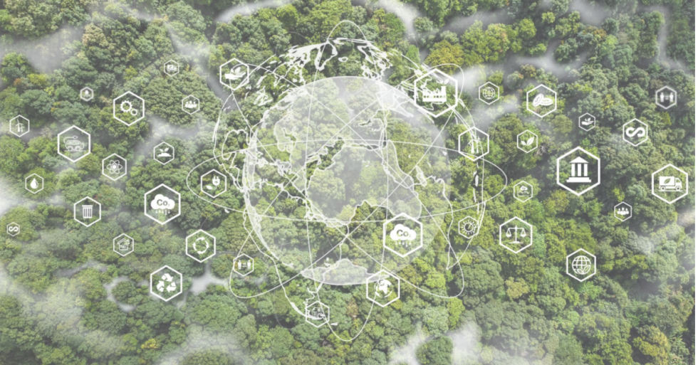 Seven Technology Solutions to Save Mangroves | ESG Insights
